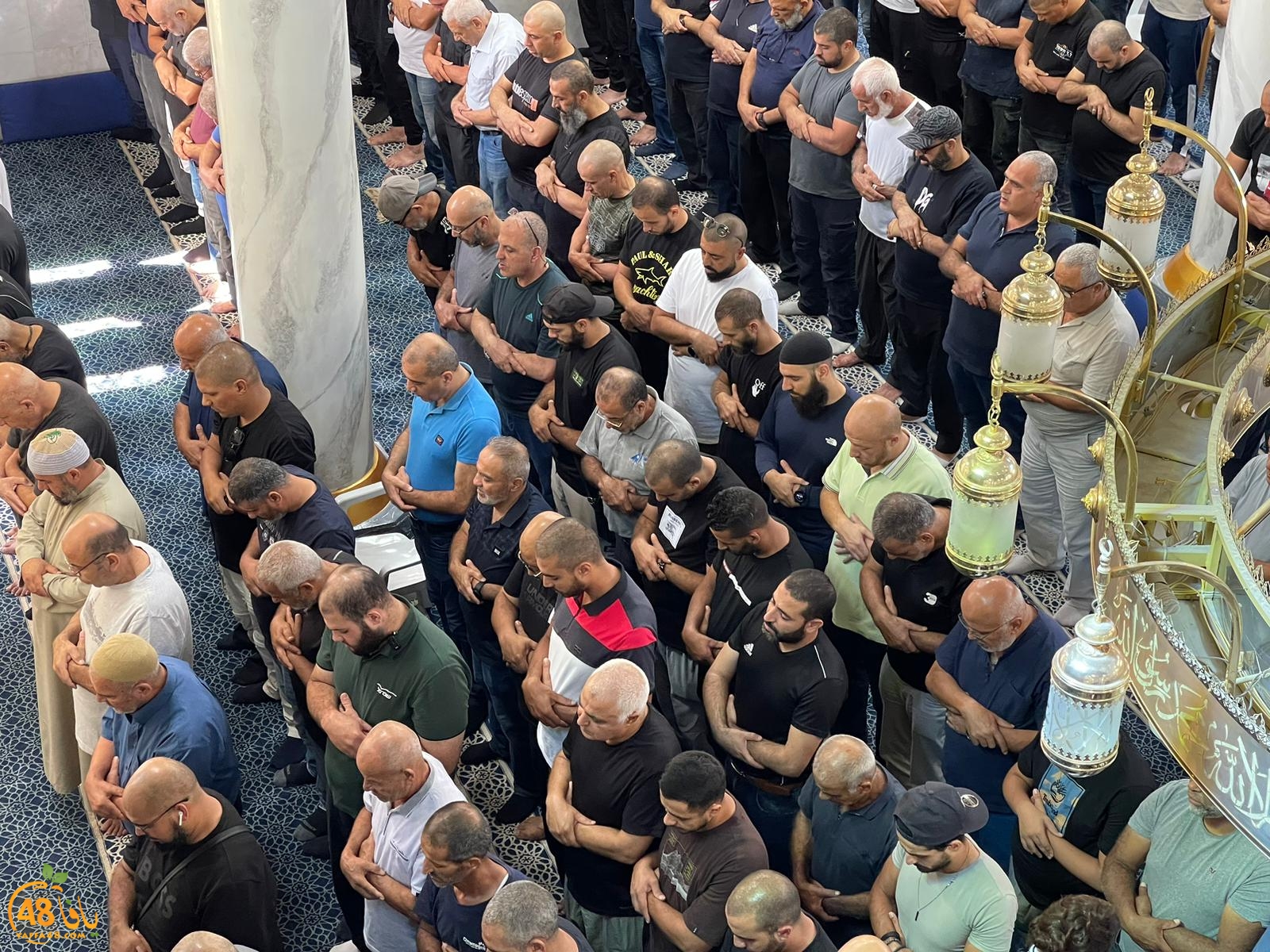 WhatsApp Image 2023-10-12 at 11.59.42 AM.jpeg